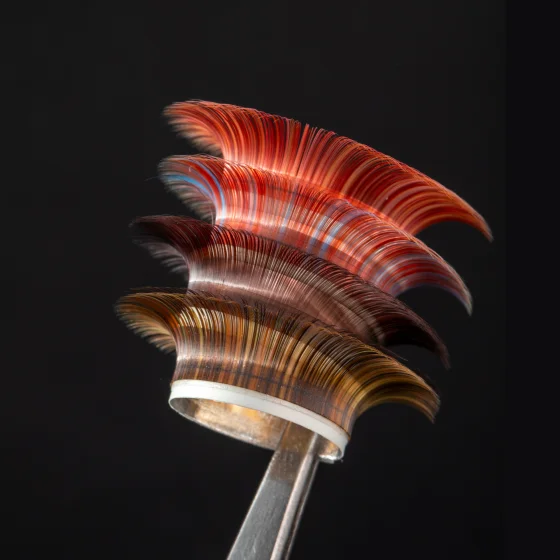 burgundy2-560x560h Brown Eyelash Extensions – Natural Beauty Trend 2026